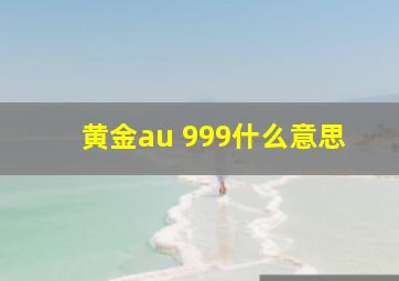 黄金au 999什么意思